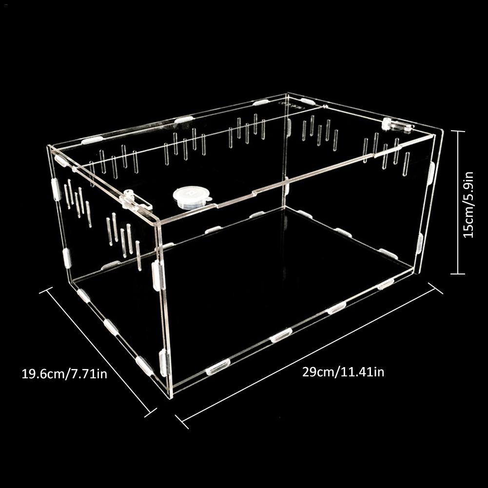 Experience the Ultimate Reptile Habitat with Our Breeding Pet Box