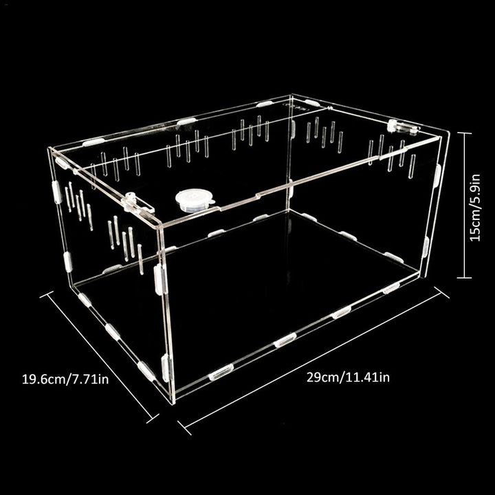Experience the Ultimate Reptile Habitat with Our Breeding Pet Box