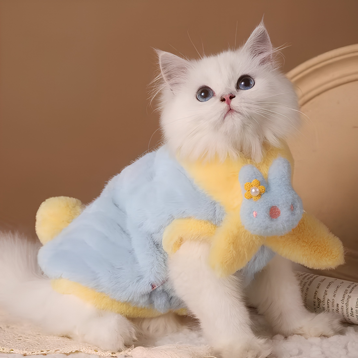 Stylish Pet Wear For Daily Comfort