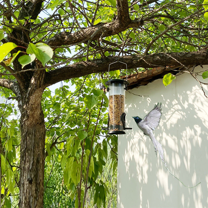 Discover the Joy of Bird Watching with Our Outdoor Bird Feeder