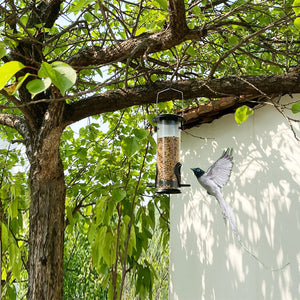 Discover the Joy of Bird Watching with Our Outdoor Bird Feeder